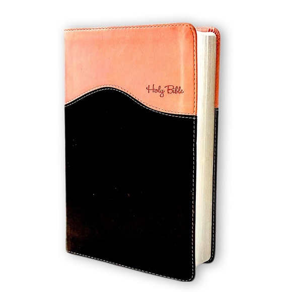 Other - Holy Bible NIV Zondervan, Brown & Pink Two-Tone